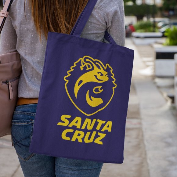 NEW UC Santa Cruz Banana Slugs Mascot Wordmark Canvas Medium Tote Bag NAVY - Picture 2 of 2
